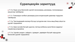 Биологийн молекулууд.pptx