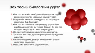 Биологийн молекулууд.pptx
