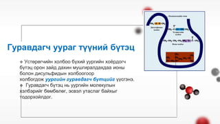 Биологийн молекулууд.pptx