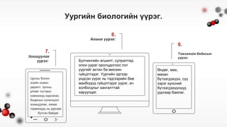 Биологийн молекулууд.pptx