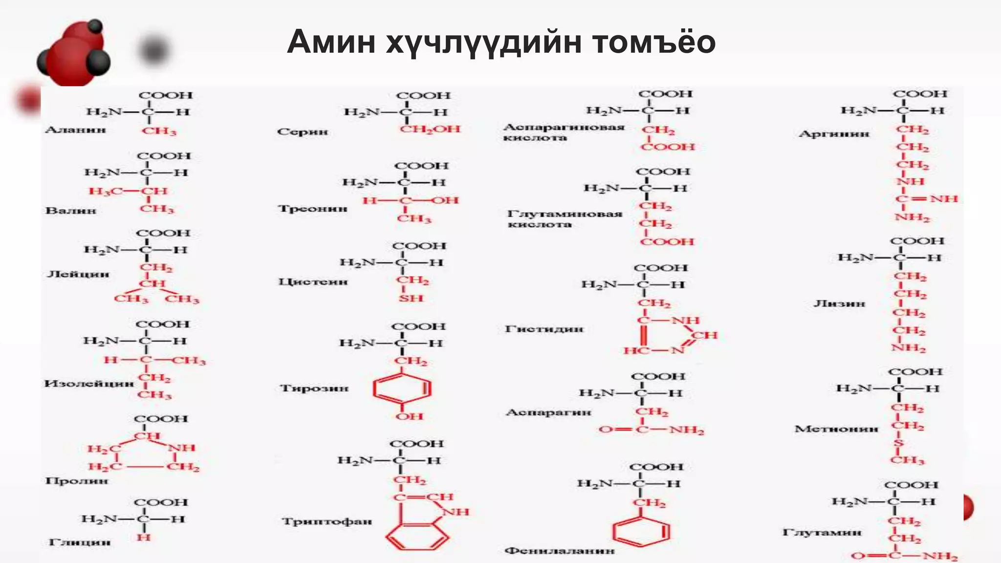 Биологийн молекулууд.pptx