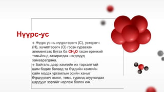 Биологийн молекулууд.pptx
