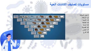 Give An Example Of Endothermic Reaction From Everyday Life Give An Example Of Endothermic Reaction From Everyday Life