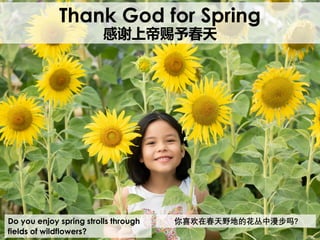 Do you enjoy spring strolls through
fields of wildflowers?
Thank God for Spring
感谢上帝赐予春天
你喜欢在春天野地的花丛中漫步吗?
 