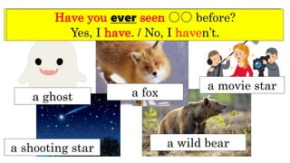 a ghost a fox
a shooting star a wild bear
a movie star
I have seen ○○ before.
I have never seen ○○ before.
Have you ever seen ○○ before?
Yes, I have. / No, I haven’t.
 