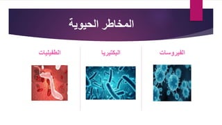 ‫الحيوية‬ ‫المخاطر‬
‫الطفيليات‬ ‫البكتيريا‬ ‫الفيروسات‬
 