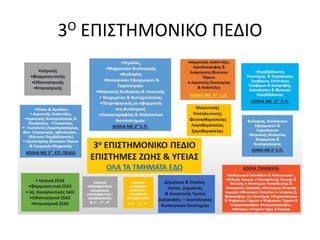 3Ο ΕΠΙΣΤΗΜΟΝΙΚΟ ΠΕΔΙΟ
 