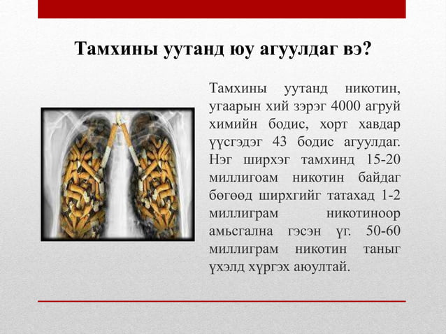 Хорт-зуршил.pptx
