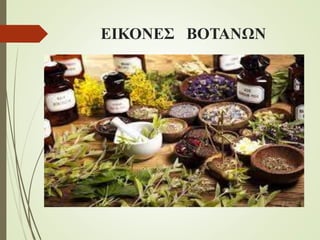 ΕΙΚΟΝΕΣ ΒΟΤΑΝΩΝ
 