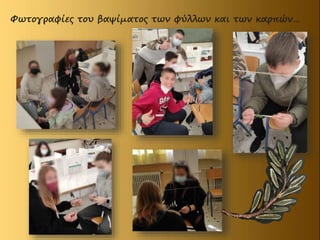 Φωτογραφίες του βαψίματος των φύλλων και των καρπών…
 