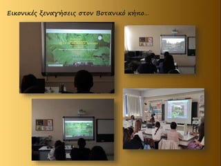 Εικονικές ξεναγήσεις στον Βοτανικό κήπο…
 