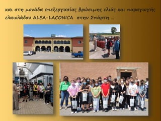 και στη μονάδα επεξεργασίας βρώσιμης ελιάς και παραγωγής
ελαιολάδου ALEA-LACONICA στην Σπάρτη …
 