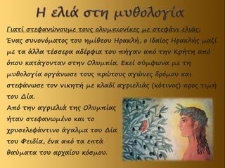 Γιατί στεφανώνουμε τους ολυμπιονίκες με στεφάνι ελιάς;
Ένας συνονόματος του ημίθεου Ηρακλή, ο Ιδαίος Ηρακλής μαζί
με τα άλλα τέσσερα αδέρφια του πήγαν από την Κρήτη από
όπου κατάγονταν στην Ολυμπία. Εκεί σύμφωνα με τη
μυθολογία οργάνωσε τους πρώτους αγώνες δρόμου και
στεφάνωσε τον νικητή με κλαδί αγριελιάς (κότινος) προς τιμή
του Δία.
Από την αγριελιά της Ολυμπίας
ήταν στεφανωμένο και το
χρυσελεφάντινο άγαλμα του Δία
του Φειδία, ένα από τα επτά
θαύματα του αρχαίου κόσμου.
 