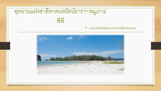 อุทยานแห่งชาติหาดนพรัตน์ธารา-หมูเกาะ
พีพี
• การอนุรักษ์ทรัพยากรการท่องเที่ยวทางทะเล
 