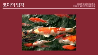 코이의 법칙 고려대학교 컴퓨터학과 특강
대학생 때 알았더라면 좋았을 것들
 