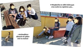 Η Μορφούλα σε κάθε διάλειμμα
στην αυλή του σχολείου μας…
…απολαμβάνει
φαγητά και χάδια
από τα παιδιά!
 