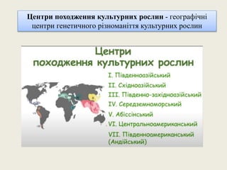 Центри походження культурних рослин - географічні
центри генетичного різноманіття культурних рослин
 