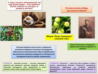 СЛОВНИЧОК. Культурні рослини — рослини, вирощувані
людством для отримання харчових продуктів, кормів в
сільському господарстві, ліків, промислової та іншої
сировини, інших цілей в задоволенні потреб людини
СЛОВНИЧОК. Помологія — наука про сорти плодових і ягідних
рослин, відгалуження ботаніки. Помологічні дослідження
фокусуються, переважно, на розвитку технологій
культивування нових сортів фруктових дерев, вивченні їх
фізіології
Чи чули ви коли-небудь
про космічні яблука?
Яблуня "Ренет Симиренко"
(зимовий сорт)
Левко Платонович Симиренко,
український вчений-садівник та
помолог
Селекція відіграє значну роль у вирішенні
основного завдання сільського господарства
забезпеченні максимального обсягу виробництва
високоякісних харчових продуктів за мінімальних
вкладених коштів та витрат енергоносіїв.
 