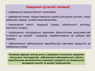 Завдання сучасної селекції:
• підвищення продуктивності організмів;
• виведення нових, продуктивніших сортів культурних рослин, порід
свійських тварин, штамів мікроорганізмів;
• покращення якості продукції (смаку, зовнішнього вигляду,
хімічного складу);
• покращення господарсько важливих фізіологічних властивостей
(стійкості до хвороб і шкідників, сприйнятливості до добрив або
кормів);
• забезпечення найповнішого виробництва харчових продуктів за
найменших втрат.
Селекція відіграє значну роль у вирішенні основного завдання
сільського господарства забезпеченні максимального обсягу
виробництва високоякісних харчових продуктів за мінімальних
вкладених коштів та витрат енергоносіїв.
 