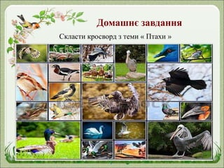 Домашнє завдання
Скласти кросворд з теми « Птахи »
 