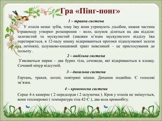 Гра «Пінг-понг»
1 – травна система
У птахів немає зубів, тому їжу вони утримують дзьобом, нижня частина
стравоходу утворює розширення – воло, шлунок ділиться на два відділи:
залозистий та мускулистий (завдяки м’язам мускулистого відділу їжа
перетирається, в 12-палу кишку відкриваються протоки підшлункової залози
та печінки), шлунково-кишковий тракт невеликий – це пристосування до
польоту .
2 – видільна система
З’являються нирки – два бурих тіла, сечоводи, які відкриваються в клоаку.
Сечовий міхур відсутній.
3 – дихальна система
Гортань, трахея, легені, повітряні мішки. Дихання подвійне. Є голосові
зв’язки.
4 – кровоносна система
Серце 4-х камерне ( 2 передсердя і 2 шлуночка ). Кров у птахів не змішується,
вони теплокровні ( температура тіла 42◦С ), два кола кровообігу.
 