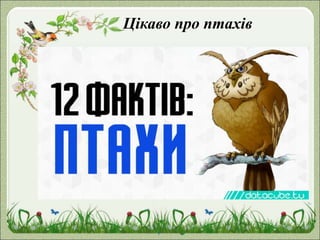 Цікаво про птахів
 