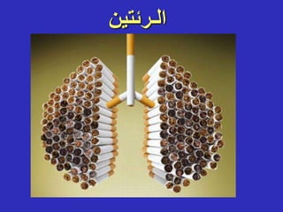 ‫الـرئتين‬
 