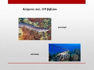 μουγκρί
αστακός
Κείμενο: σελ. 119 βιβλίου
 