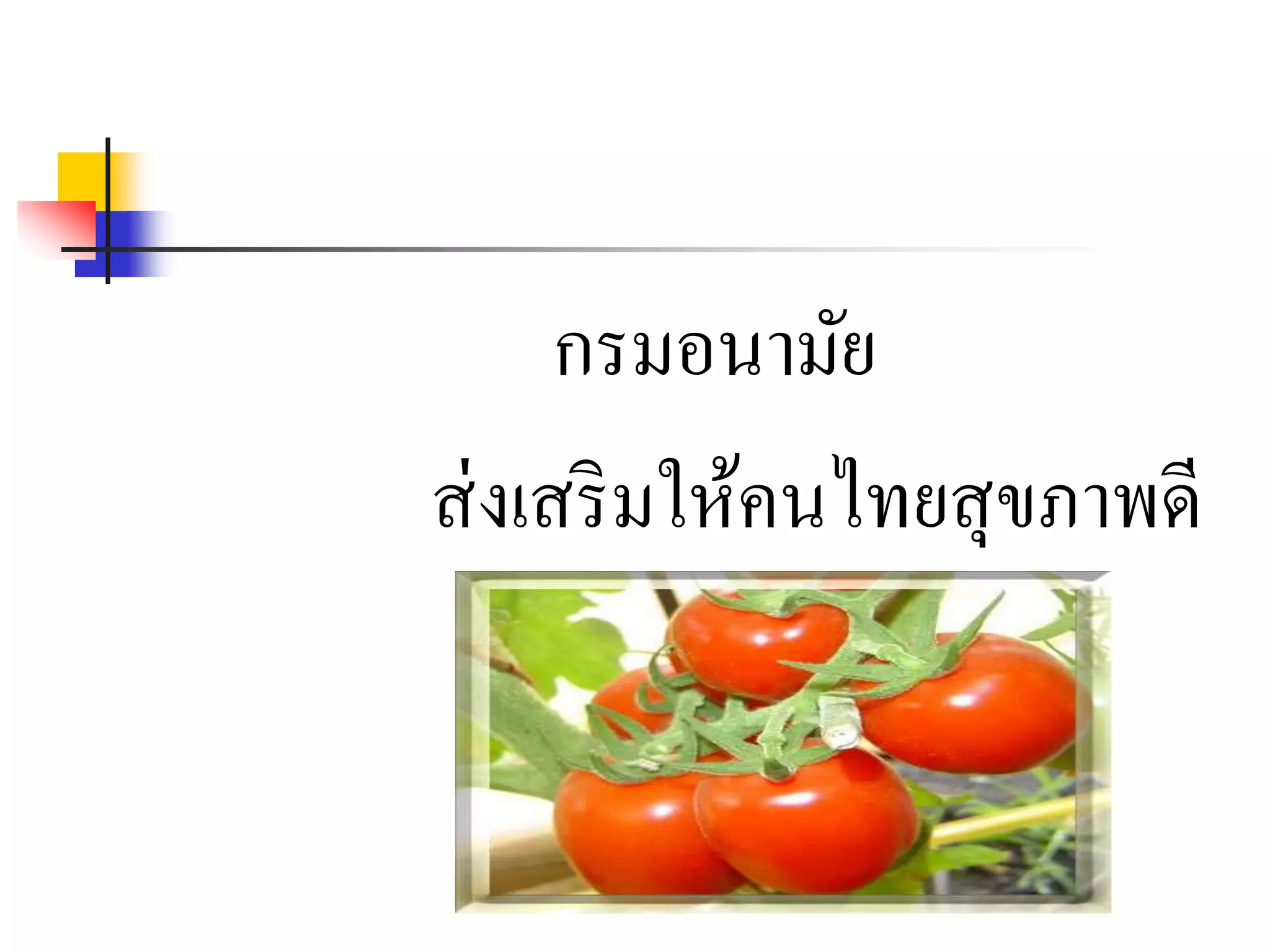 กรมอนามัย
ส่งเสริมให้คนไทยสุขภาพดี
 