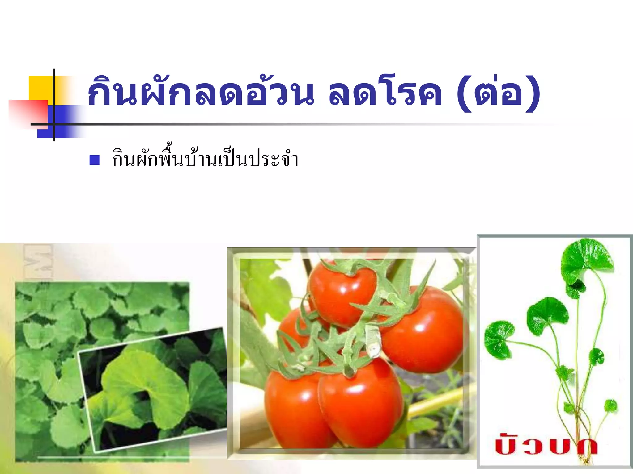 กินผักลดอ้วน ลดโรค (ต่อ)
 กินผักพื้นบ้านเป็นประจา
 
