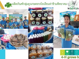 กลุ่มยุวเกษตรกร รร.ท่าข้าม.pptx