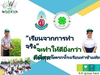 กลุ่มยุวเกษตรกร รร.ท่าข้าม.pptx