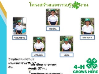 สมาชิกยุวเกษตรกร
หญิง 37 คน
ประธาน
รองประธาน
เหรัญญิก ปฏิคม
เลขานุการ
ปัจจุบันมีสมาชิกยุว
เกษตรกร จานวน 57
คน
 