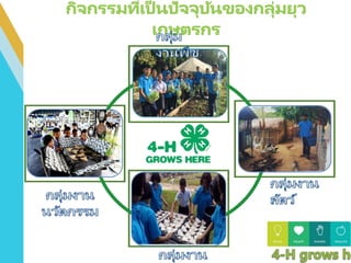 กลุ่มยุวเกษตรกร รร.ท่าข้าม.pptx