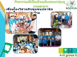 กลุ่มยุวเกษตรกร รร.ท่าข้าม.pptx