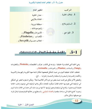 ﺍﺳﺗﺧﺩﺍﻡ