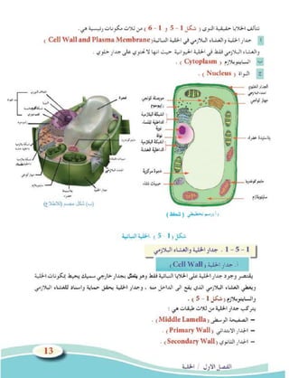 ( ﻟﻠﺣﻔﻅ )
ﺍﻟﻧﻭﺍﺓ