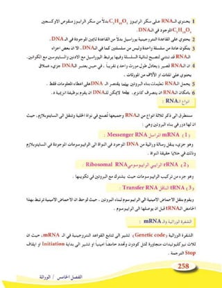 ﺗﻌﻠﻳﻣﺎﺕ