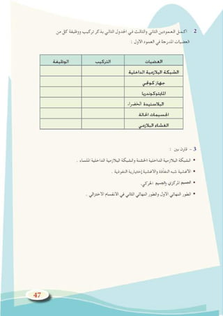 ء
ﺍ
ﺮ
ﻀ
ﺨ
ﻟ
ﺍ