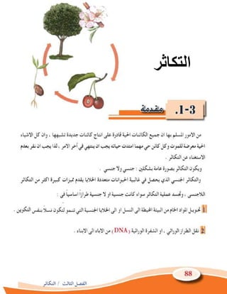 ﺍﻟﺗﻛﺎﺛﺭ