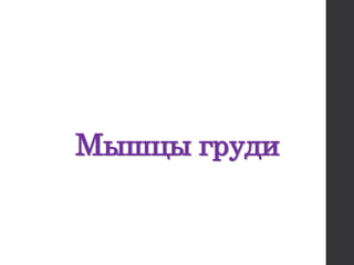 Мышцы груди
 