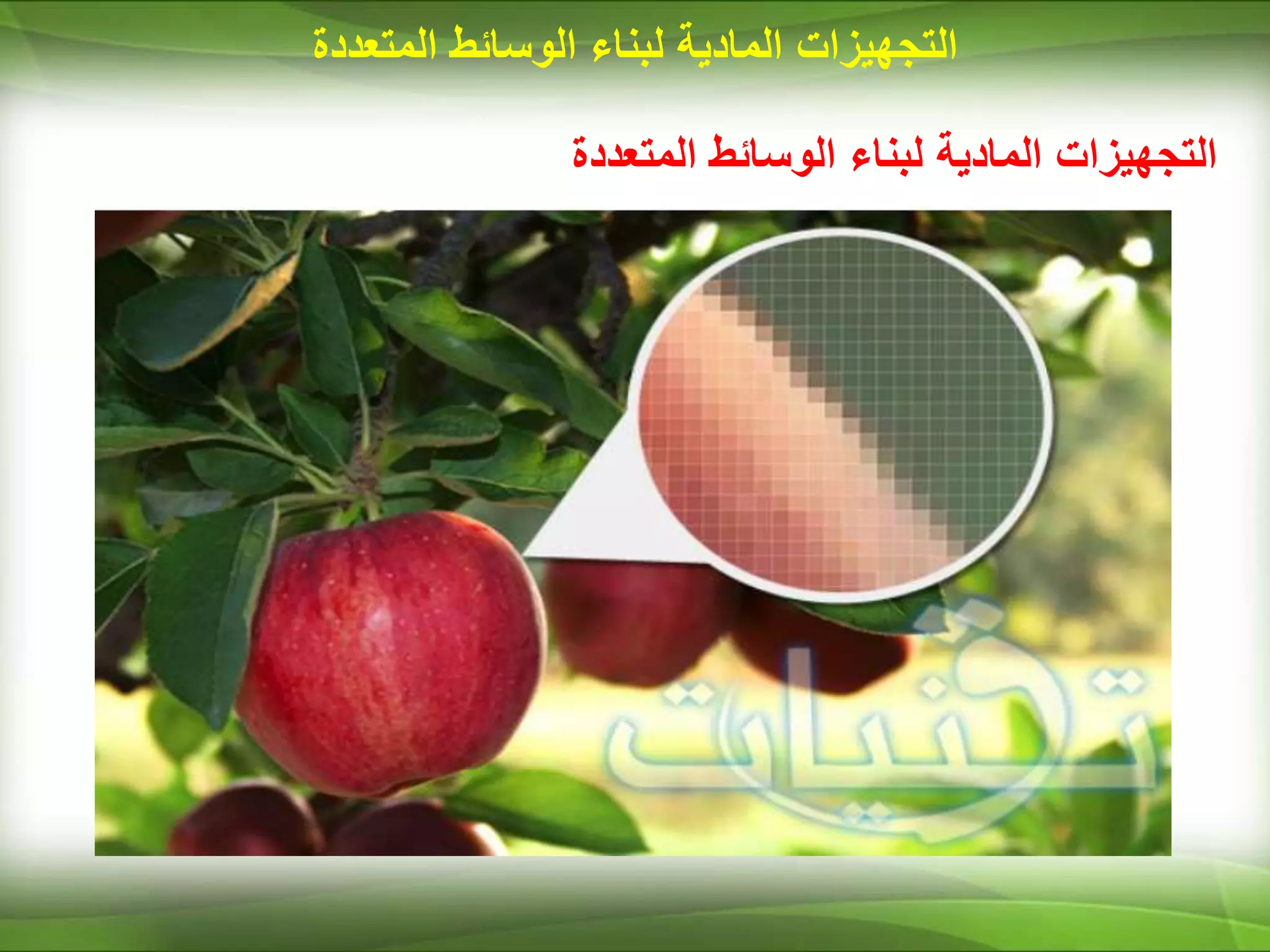 ‫المتعددة‬ ‫الوسائط‬ ‫لبناء‬ ‫المادية‬ ‫التجهيزات‬
‫المتعددة‬ ‫الوسائط‬ ‫لبناء‬ ‫المادية‬ ‫التجهيزات‬
 