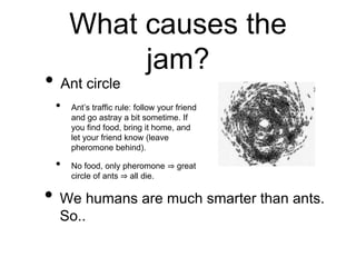 What causes the
jam?
• Ant circle
• Ant’s traffic rule: follow your friend
and go astray a bit sometime. If
you find food, bring it home, and
let your friend know (leave
pheromone behind).
• No food, only pheromone ⇒ great
circle of ants ⇒ all die.
• We humans are much smarter than ants.
So..
 
