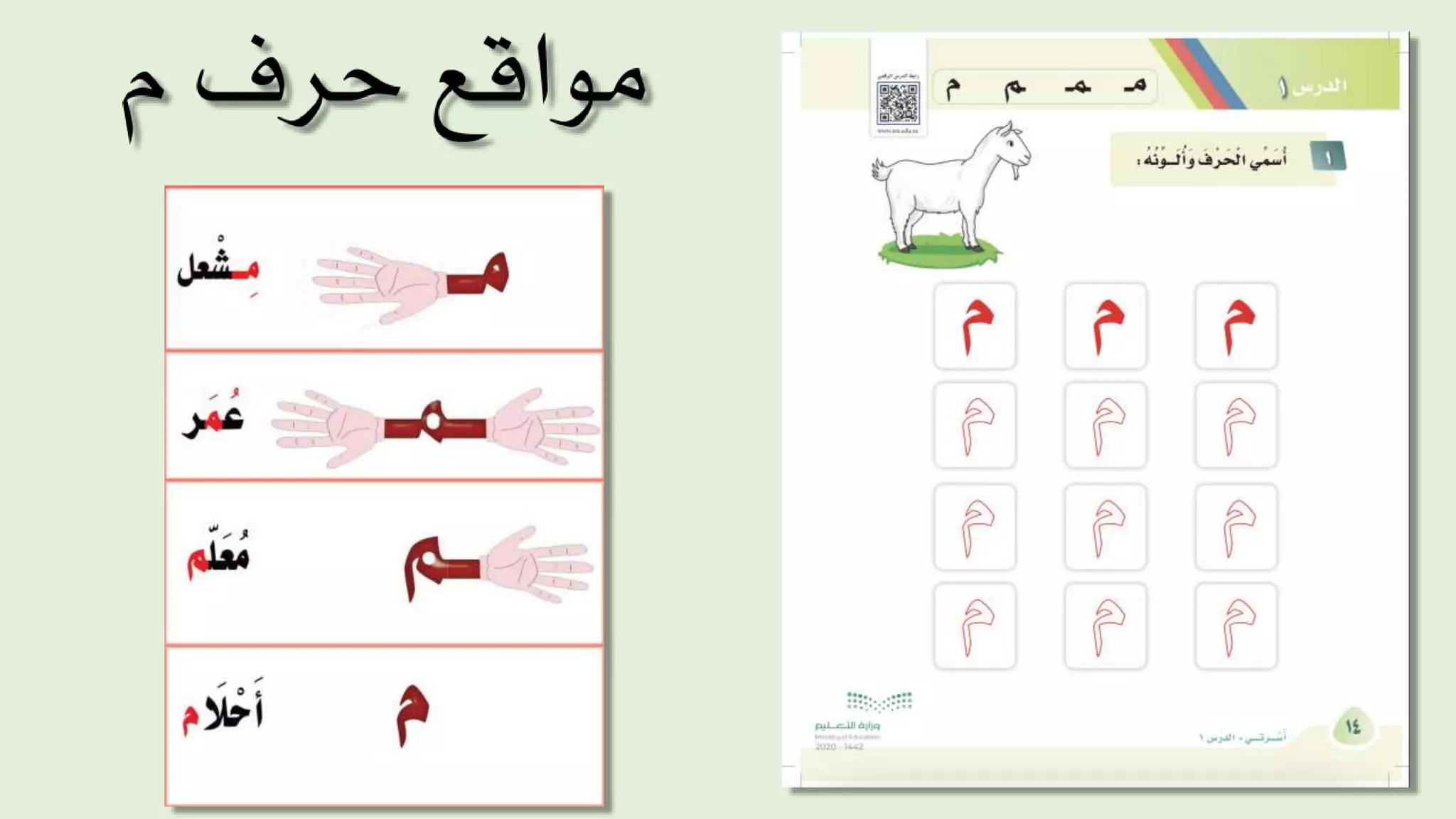 حرف م.pptx
