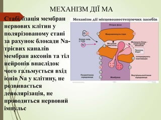 МЕХАНІЗМ ДІЇ МА
Стабілізація мембран
нервових клітин у
полярізованому стані
за рахунок блокади Na-
трієвих каналів
мембран аксонів та тіл
нейронів внаслідок
чого гальмується вхід
іонів Na у клітину, не
розвивається
деполярізація, не
проводиться нервовий
імпульс
 