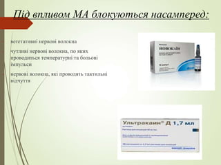 Під впливом МА блокуються насамперед:
- вегетативні нервові волокна
- чутливі нервові волокна, по яких
проводиться температурні та больові
імпульси
- нервові волокна, які проводять тактильні
відчуття
 