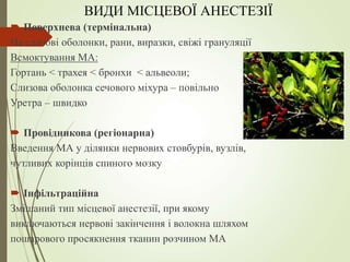 ВИДИ МІСЦЕВОЇ АНЕСТЕЗІЇ
 Поверхнева (термінальна)
На слизові оболонки, рани, виразки, свіжі грануляції
Всмоктування МА:
Гортань < трахея < бронхи < альвеоли;
Слизова оболонка сечового міхура – повільно
Уретра – швидко
 Провідникова (регіонарна)
Введення МА у ділянки нервових стовбурів, вузлів,
чутливих корінців спиного мозку
 Інфільтраційна
Змішаний тип місцевої анестезії, при якому
виключаються нервові закінчення і волокна шляхом
пошарового просякнення тканин розчином МА
 