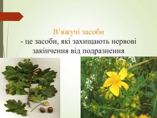 В’яжучі засоби
- це засоби, які захищають нервові
закінчення від подразнення
 