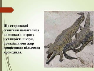 Ще стародавні
єгиптяни намагалися
викликати втрату
чутливості шкіри,
прикладаючи жир
священного нільского
крокодила.
 