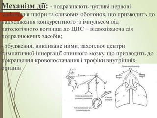 Механізм дії: - подразнюють чутливі нервові
закінчення шкіри та слизових оболонок, що призводить до
надходження конкурентного із імпульсом від
патологічного вогнища до ЦНС – відволікаюча дія
подразнюючих засобів;
- збудження, викликане ними, захоплює центри
симпатичної іннервації спинного мозку, що призводить до
покращення кровопостачання і трофіки внутрішніх
органів
 